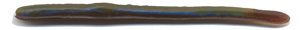 085 Green Weenie Blue Neon Vein